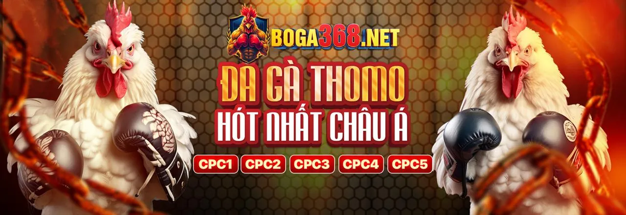 Các phương thức gửi tiền an toàn tại s26bet casino