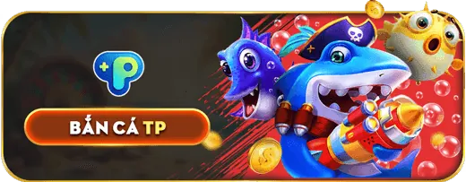 Quản lý Vốn Hiệu quả